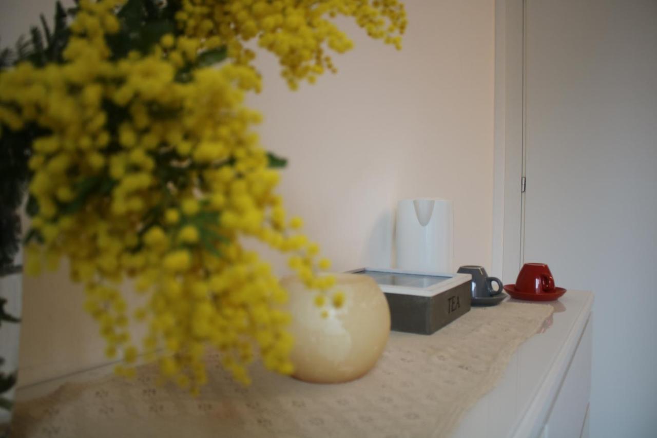 Apartmán Al Grattacielotrenta Verona Exteriér fotografie